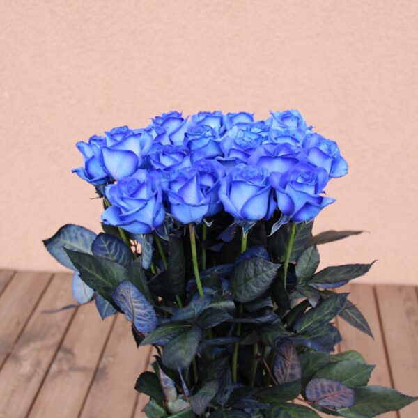 melynos rozes