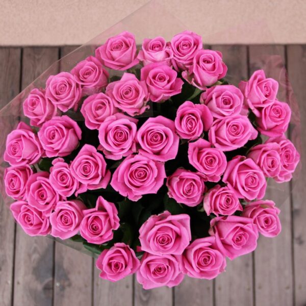 aqua rozes
