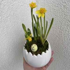 Narcizų kompozicija